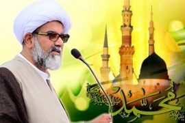 12 ربیع الاول کا دن مسلمانوں کا اپنے نبی کریم ﷺ سے عشق کے عملی اظہار کا دن ہے، علامہ ناصر عباس جعفری