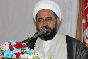 دنیا بھرمیں اسلامی بیداری کی تحریکوں کی پشتی بانی نظام ولایت کے علمبردار امام خامنہ ای کر رہے ہیں،علامہ امین شہیدی