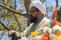 امن دشمن صبح وشام  ملک بھر میں نیشنل ایکشن پلان کی دھجیاں بکھیر رہے ہیں ، علامہ امین شہیدی