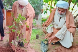 سربراہ ایم ڈبلیوایم سینیٹر علامہ راجہ ناصرعباس نے جشن آزادی پرپودا لگا کر شجر کاری مہم کا آغاز کردیا، قوم سے شجر کاری میں بھرپورحصہ لینے کی اپیل