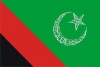 سعودی آمر بادشاہوں کو اپنے ملک کے سوا ہر ملک میں جمہوریت پسند ہے، حسن ہاشمی