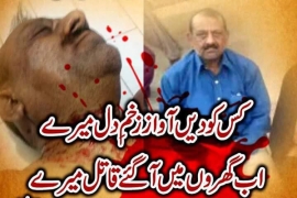 ایم ڈبلیوایم ضلع حیدرآباد کے مقتول رہنما امدادجعفری کے قتل پر ایم ڈبلیوایم قائدین کا اظہاررنج وغم