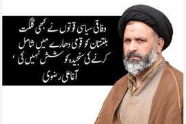 وفاقی جماعتوں نے کبھی گلگت بلتستان کو قومی دھارے میں شامل کرنیکی سنجیدہ کوشش نہیں کی، آغا علی رضوی