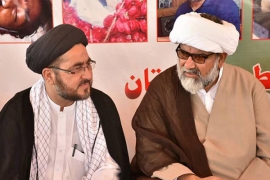 ایم ڈبلیوایم آزادجموں وکشمیرکے اعلیٰ سطحی وفد کابھوک ہڑتالی کیمپ میں علامہ راجہ ناصرعباس سے اظہار یکجہتی
