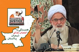 علامہ راجہ ناصرعباس کی بھوک ہڑتال کی حمایت میں آیت اللہ دری نجف آبادی نائب سربراہ شوریٰ عالی اہل بیت(ع) عالمی اسمبلی کا پیغام