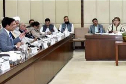 چیئرمین ایم ڈبلیوایم و سینیٹر علامہ راجہ ناصرعباس کی انسانی حقوق کے حوالے سے پارلیمانی اجلاس میں شرکت