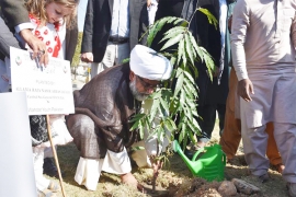 شجر کاری مہم،ایم ڈبلیوایم ملک بھر میں ایک لاکھ پودے لگائے گی، علامہ راجہ ناصرعباس جعفری