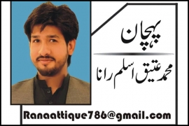 سب ملا ہوا ہے