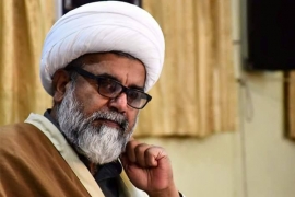 کشمیراور گلگت بلتستان پاکستان کے عضو بدن ہیں، جدا نہیں کیا جاسکتا، علامہ راجہ ناصر عباس