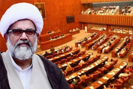 قومی اداروں میں اصلاحات وقت کی اہم ضرورت ہے،علامہ راجہ ناصر عباس