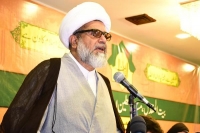 بھارت کی جانب سے رواں برس چارسوسے زائد مرتبہ سرحدی خلاف ورزی کے واقعات باعث تشویش ہیں، علامہ راجہ ناصرعباس